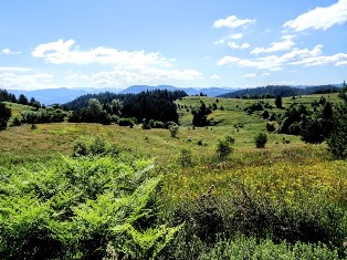 kr rodopi 19