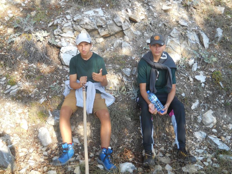 pirin-4