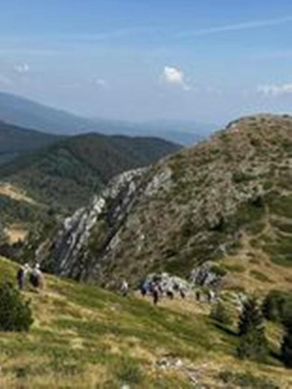 pirin-7