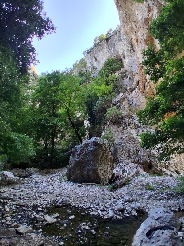 djeral-14