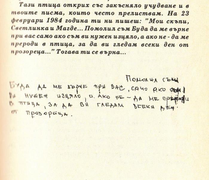 ludmata-3
