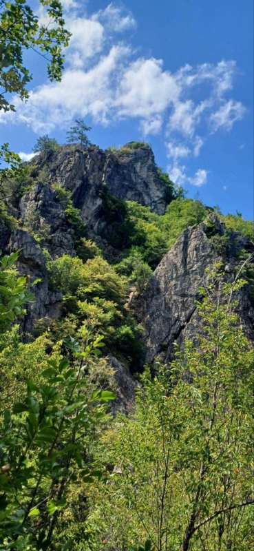 rodopi-8