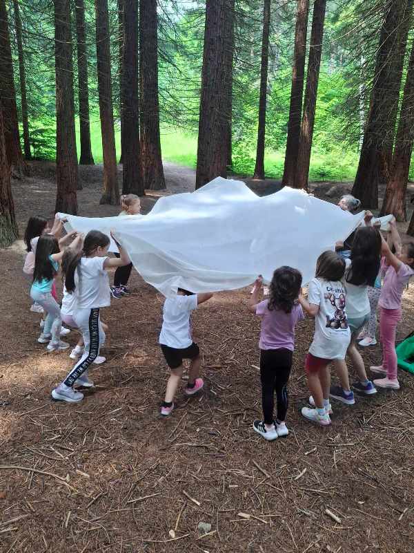 sekvoj-3