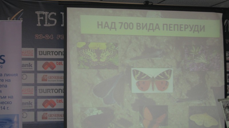 td-o-seminar-2 14