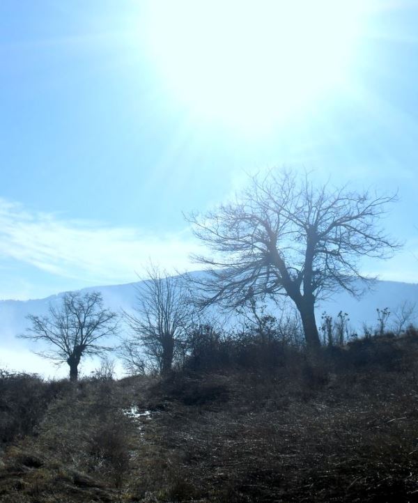 2016-02-c-reka 11