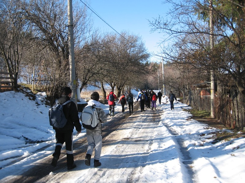 sekvoi 201602 06