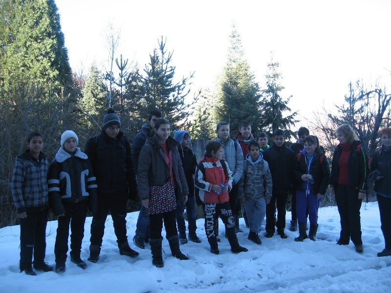 sekvoi 201602 07