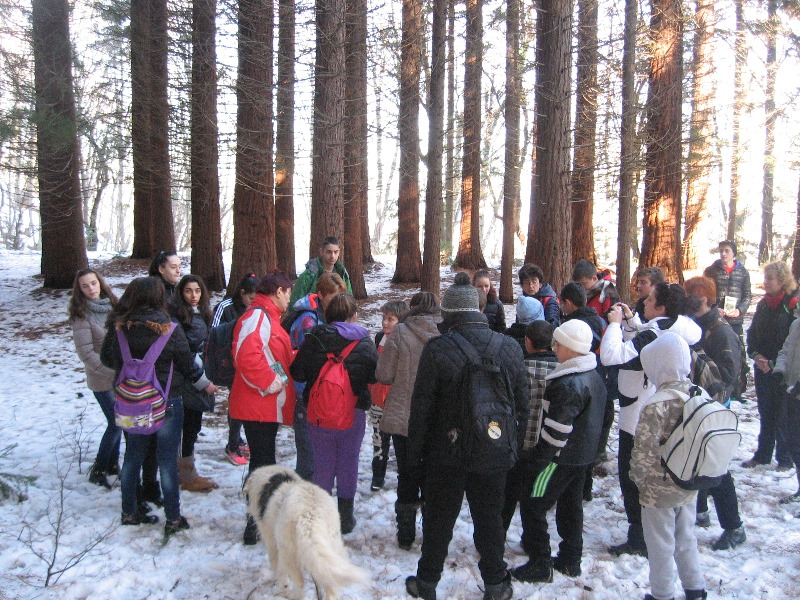 sekvoi 201602 17