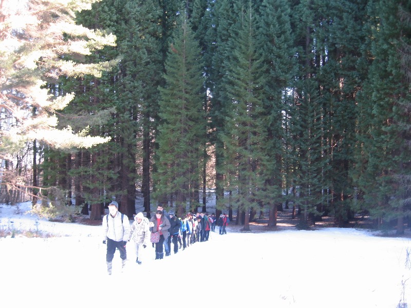 sekvoi 201602 24