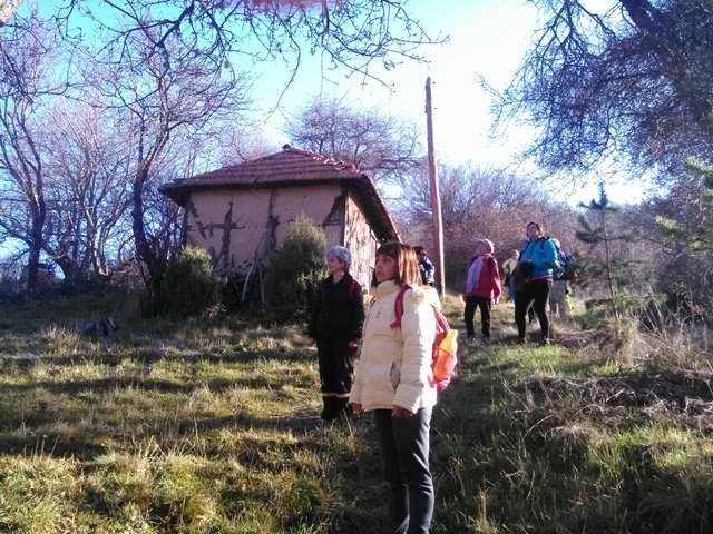 cerovica-5