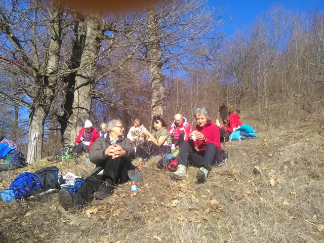 lulin-5