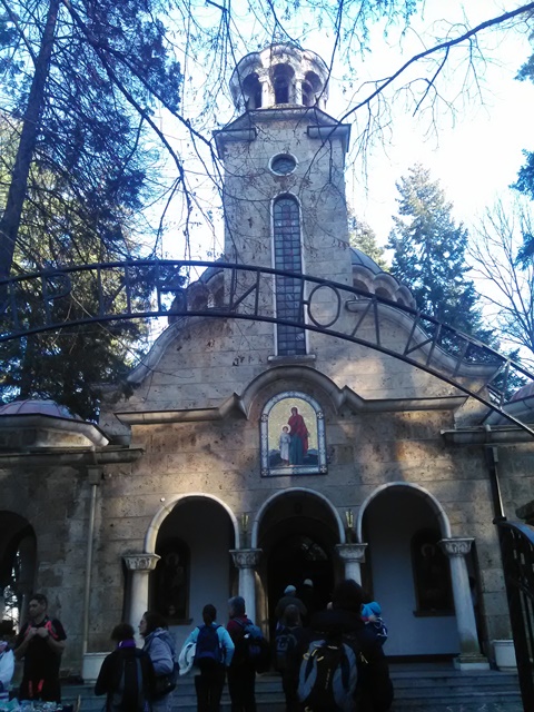 lulin-9