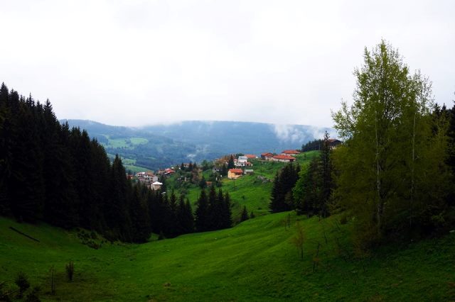 rodopi-4