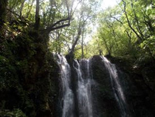 belasica1-02