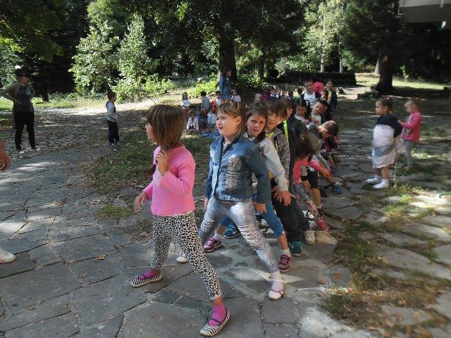 sekvoi-16