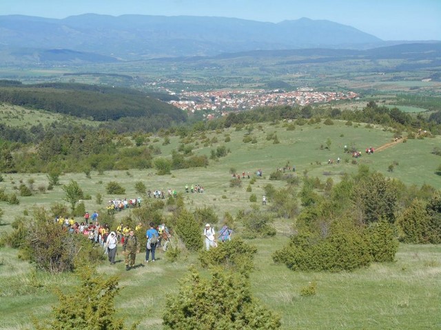predizv-4