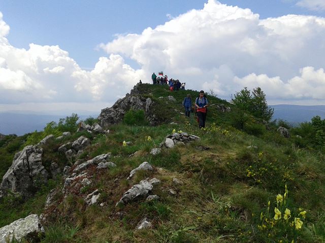 kraiste-2018-05 03