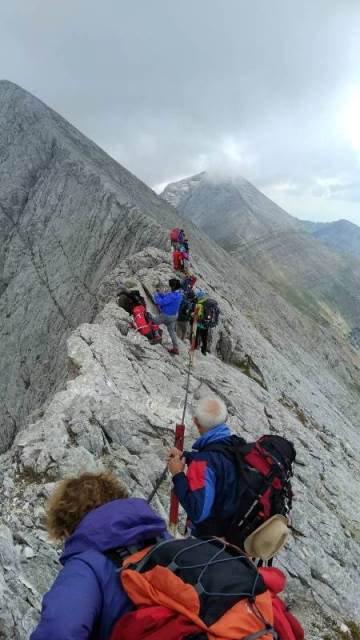 pirin-1