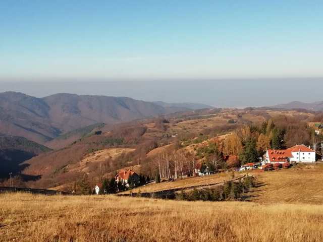 sarbia-3
