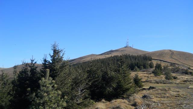 sarbia-4