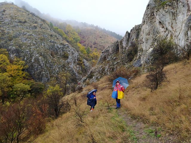 v-planina-09