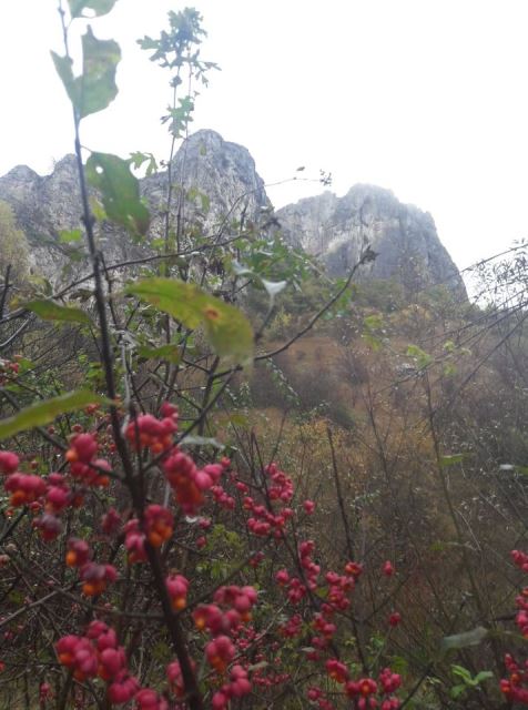 v-planina-11