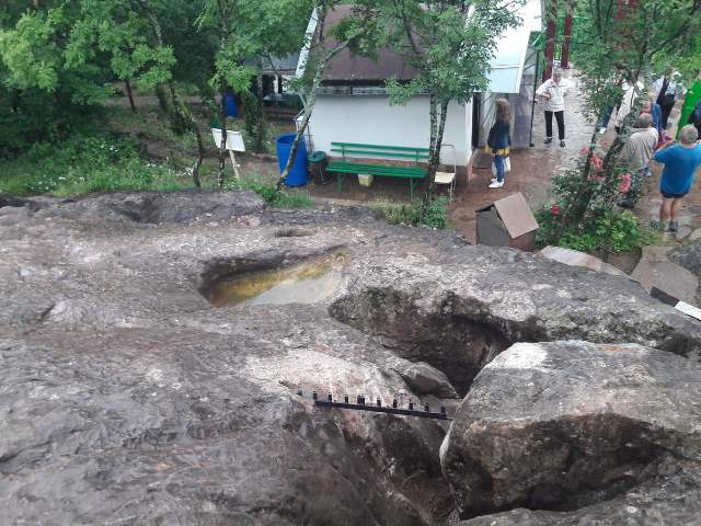stapka-2