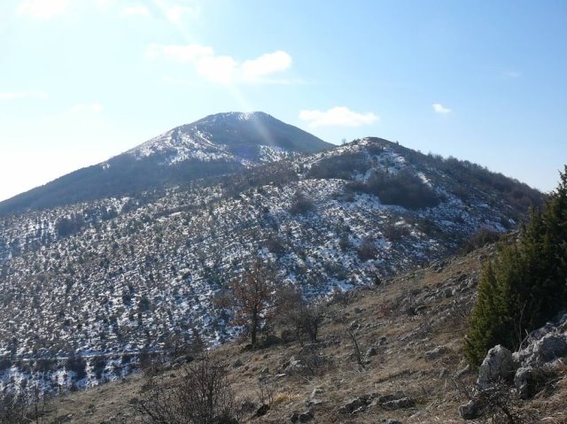 straj-1