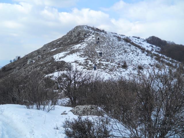 straj-5