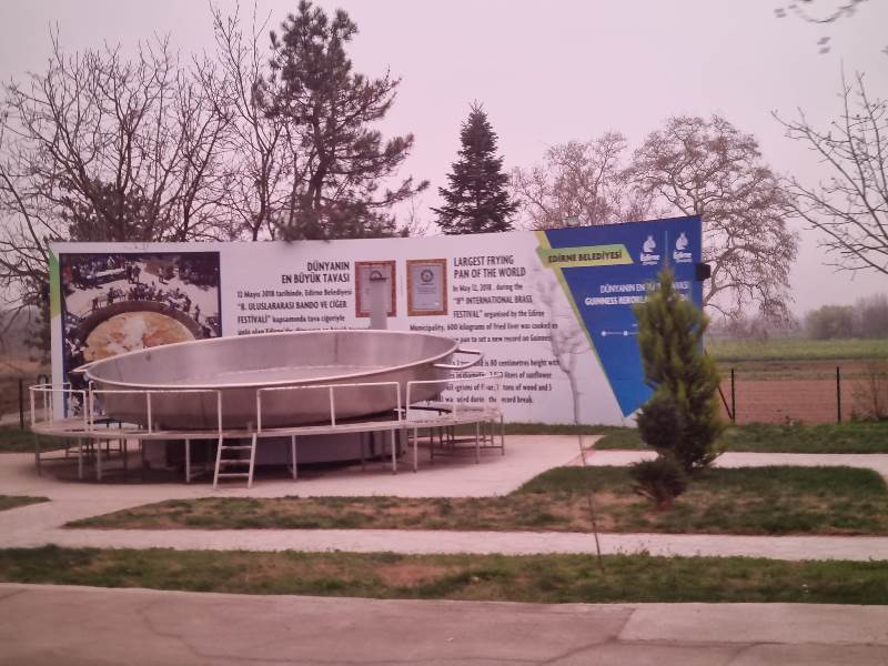 zvezdna-07