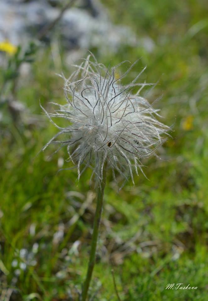 070