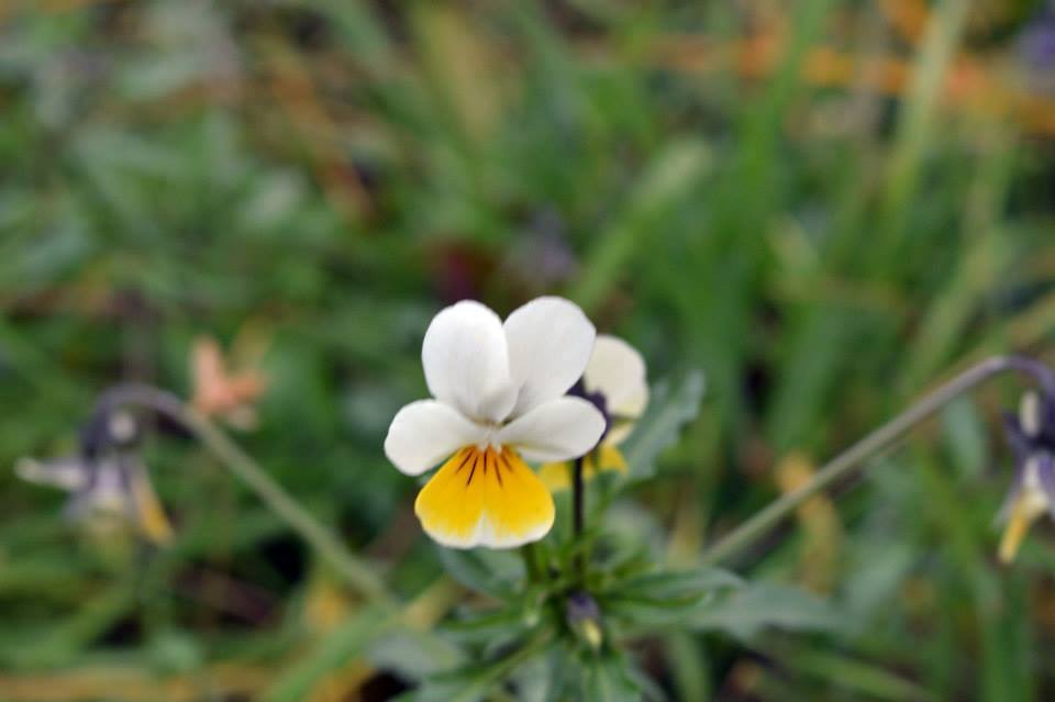09