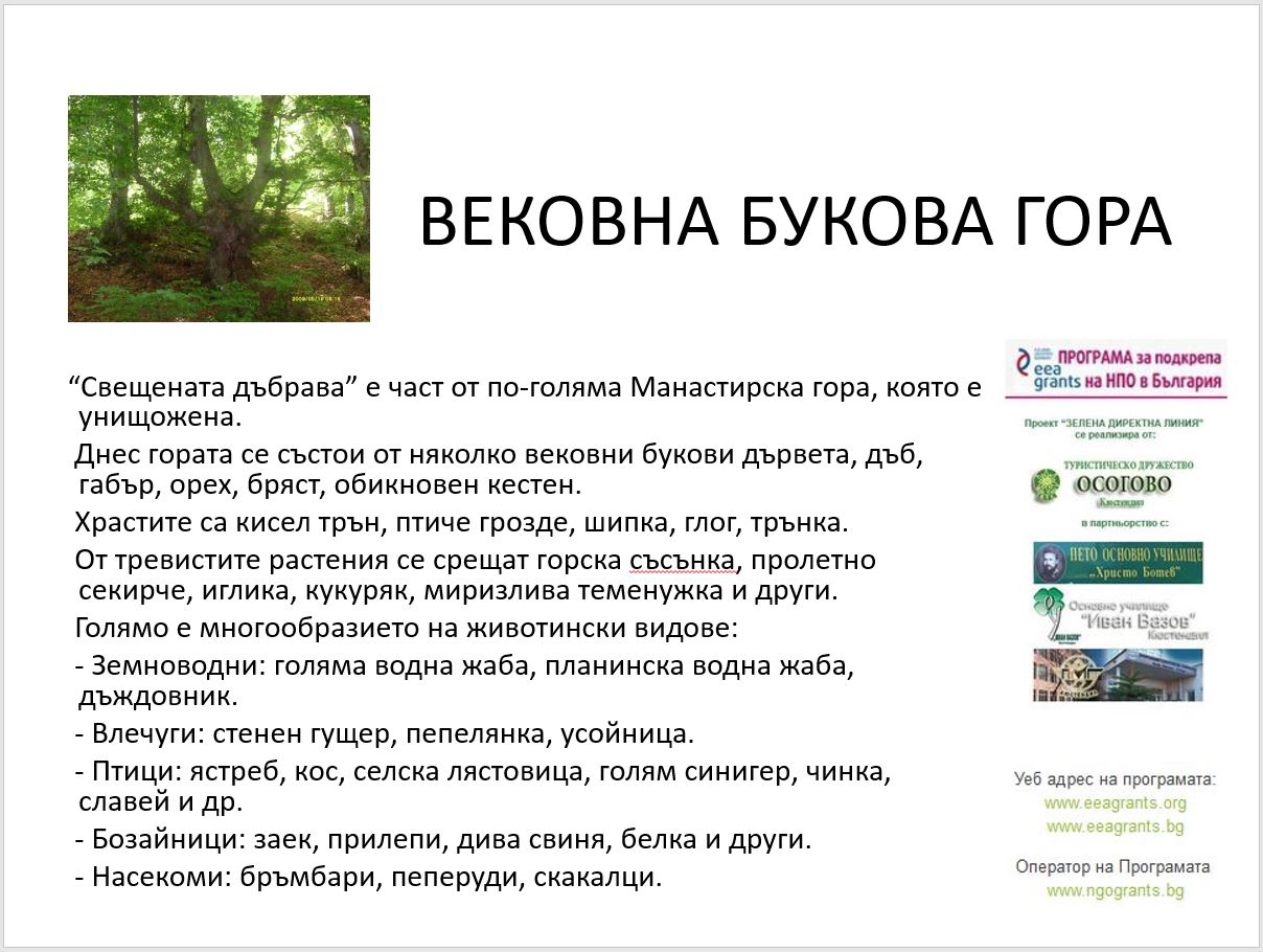 gora-1