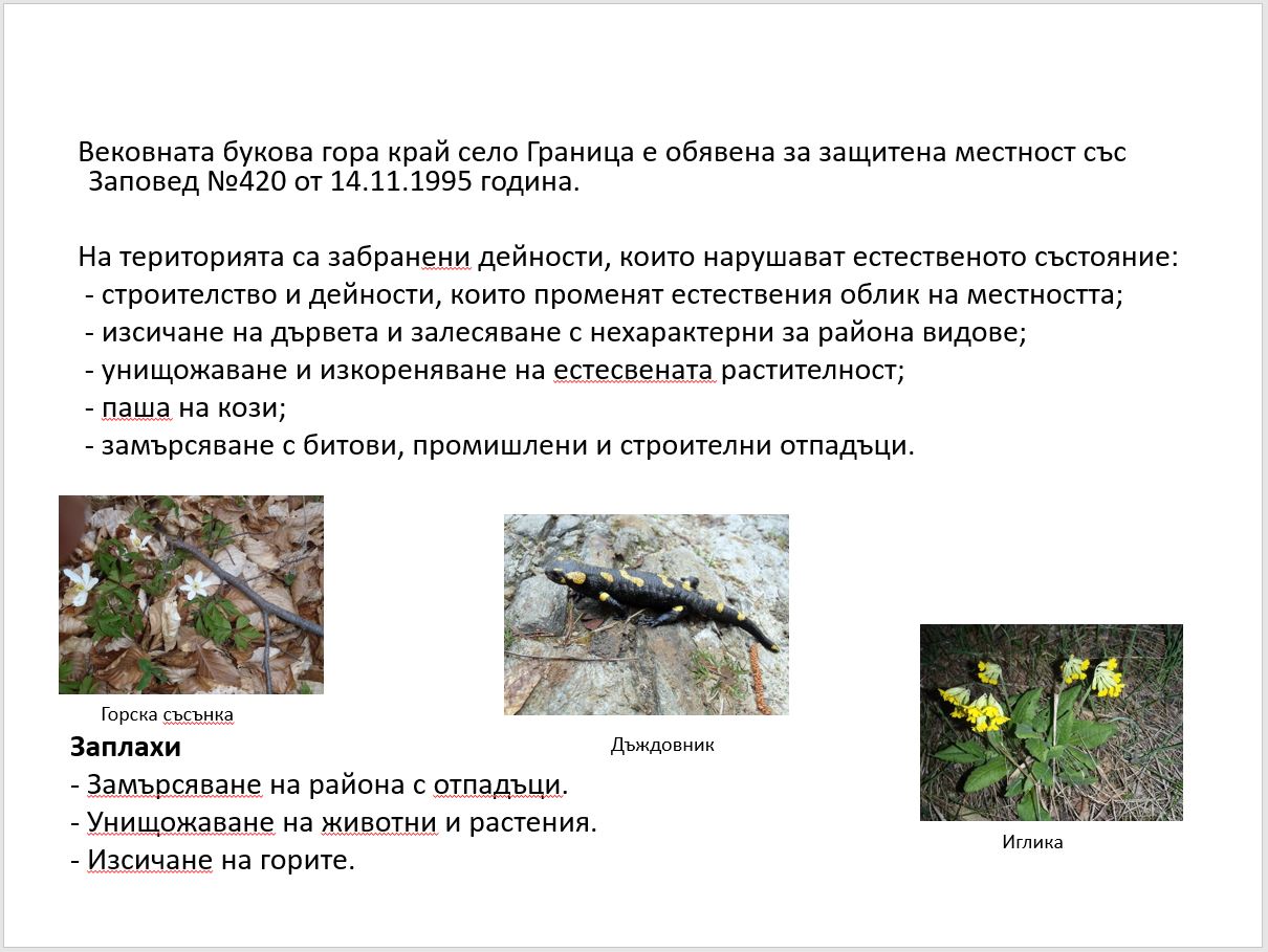 gora-2