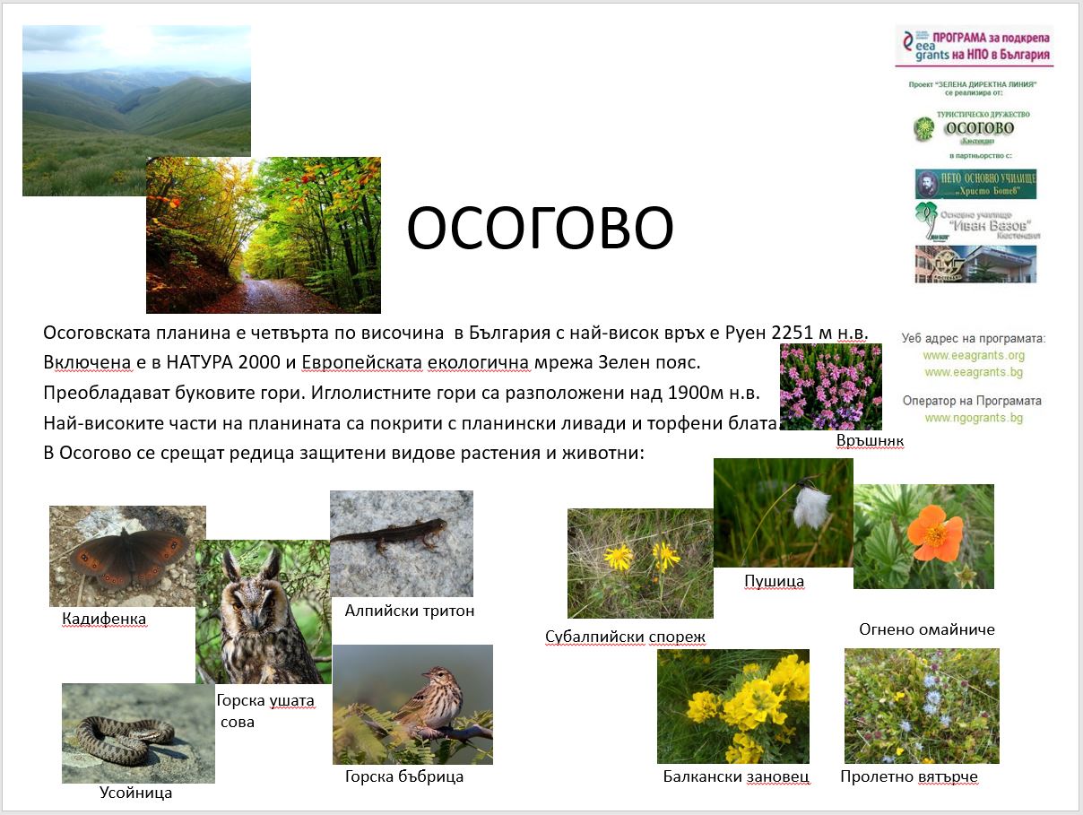 osogovo-1