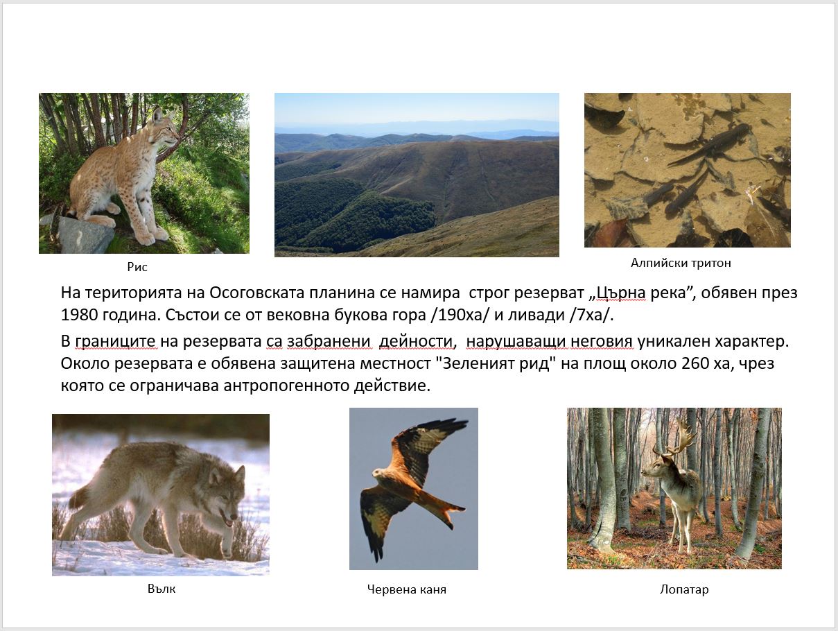 osogovo-2