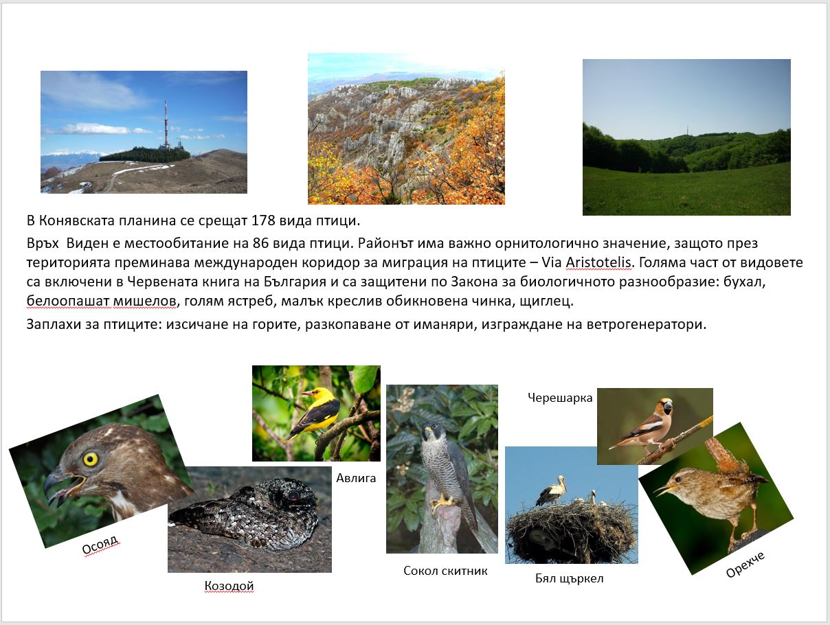 planina-2