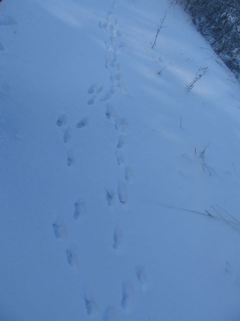 2016-konavo-05