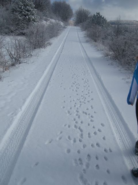 2016-konavo-10
