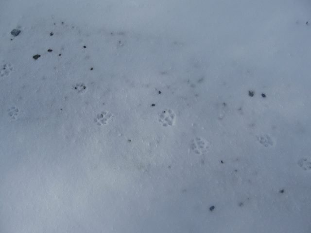 2016-konavo-14