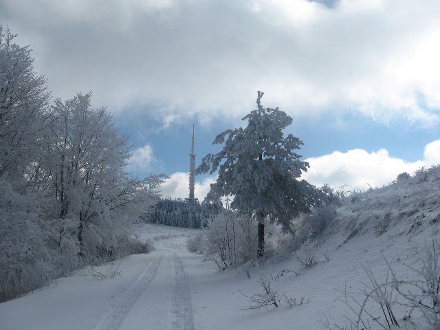 2016-konavo-17