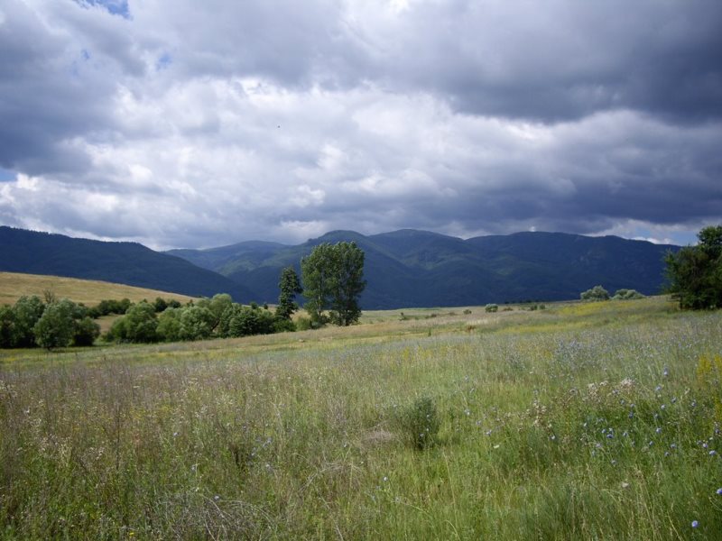 osogovo-2015 01