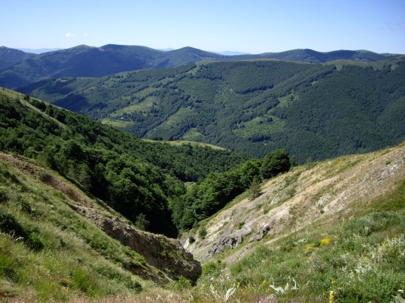 osogovo-2015 08