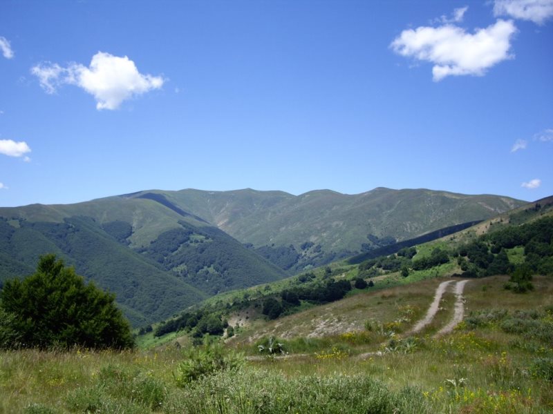 osogovo-2015 09