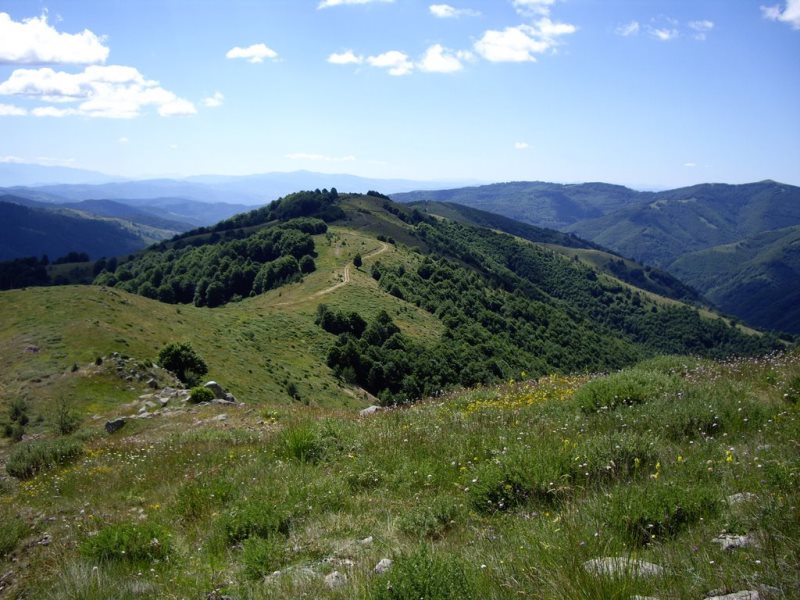 osogovo-2015 10