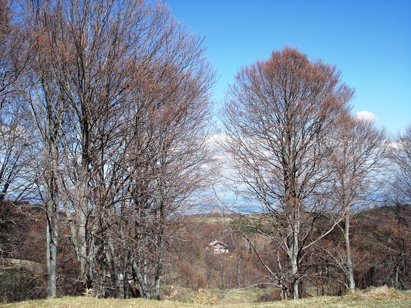 pl osogovo 06