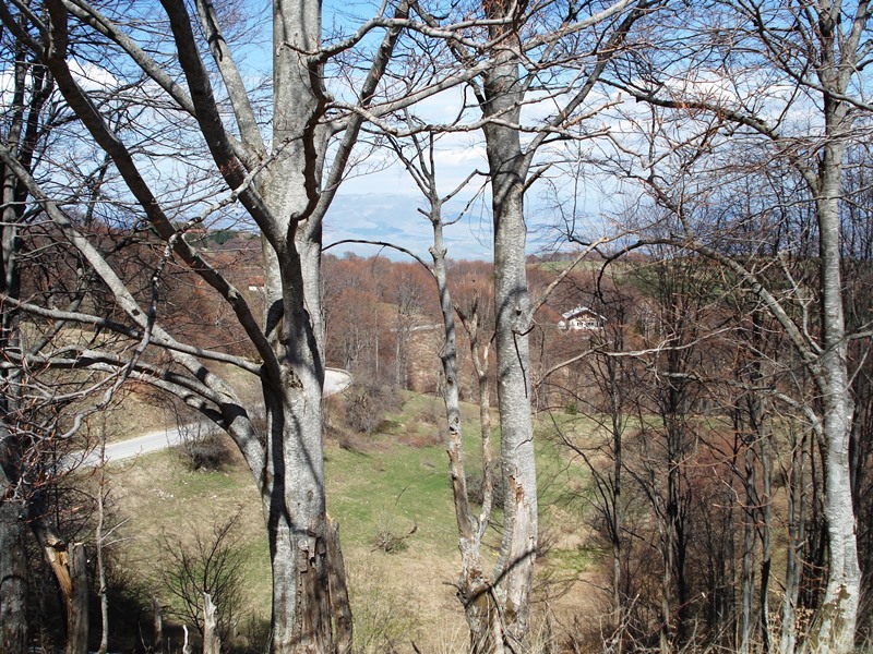 pl osogovo 08