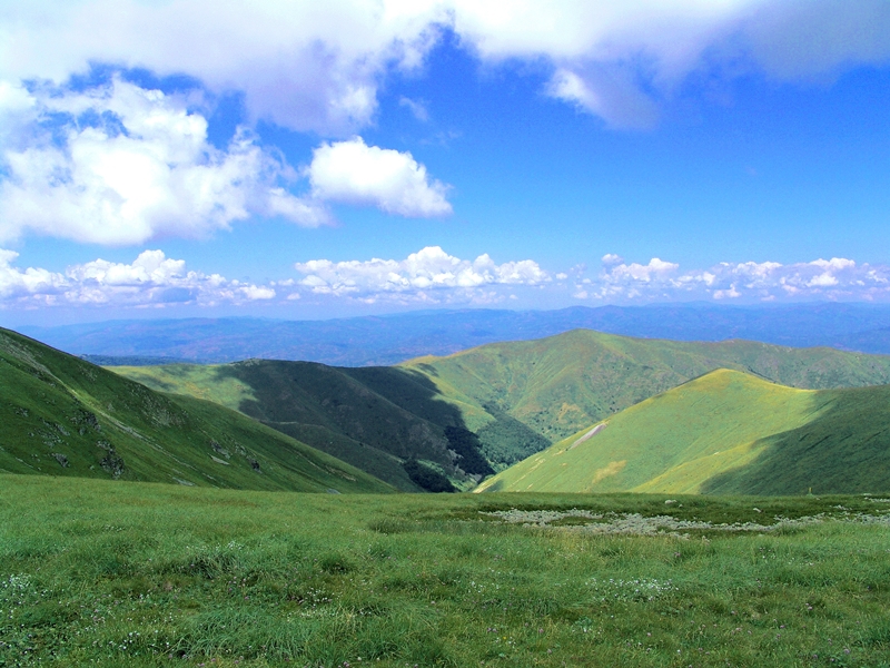 pl osogovo 17