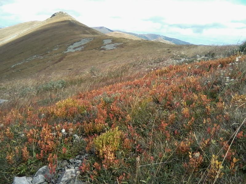 pl osogovo 21