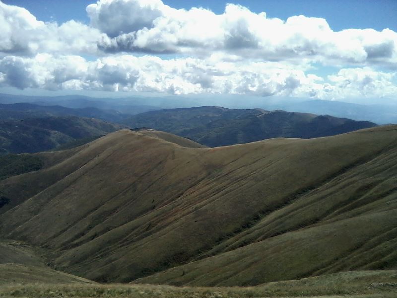 pl osogovo 22